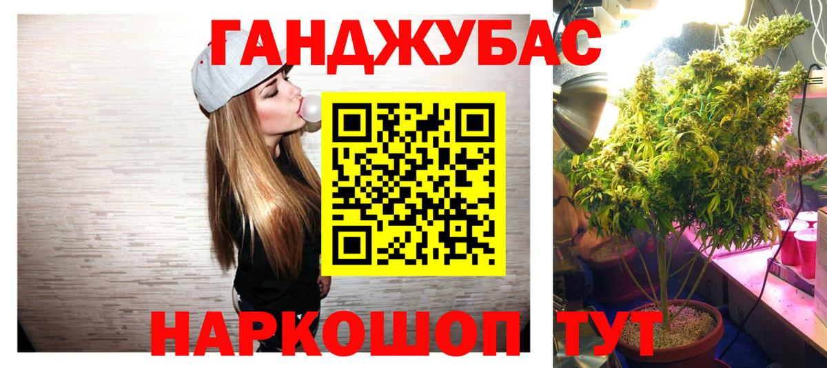 Новороссийск  Бошки Шишки гибрид  Каннабис план  Бошки Шишки гибрид  Каннабис гибрид  Вход с VPN 